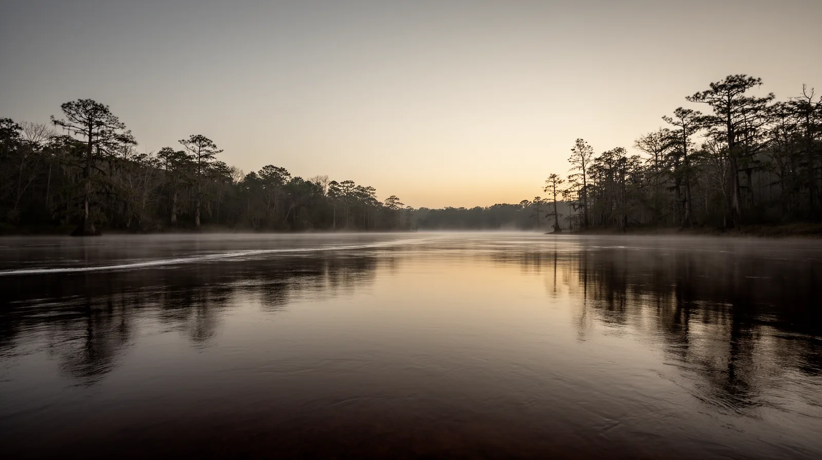 The Pasquotank River at first light, near where it narrows above the Albemarle Sound
